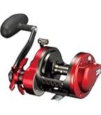 Amazon | ダイワ(Daiwa) チヌ リール(タイコリール) シーライン 石鯛