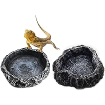 爬虫類　水 エサ入れ　22 71b0vwq043L._AC_UL210_SR210,