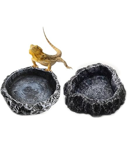 ぽん　爬虫類水入れ　10個セット 51fRDKEB-zL._UF350,350_QL50_.jpg