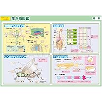マグネットパーク×旺文社』おふろポスター 中学受験シリーズ　23枚セット 楽天市場】『マグネットパーク×旺文社』旺文社 知育マグネット