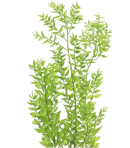 Amazon｜東北花材 カラマツ フロスト 約L3.0cm DT066237-zzz 40