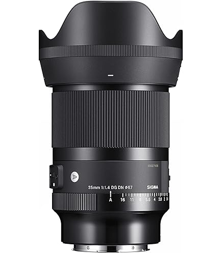 Sigma 35mm F1.4 Art DG HSM for Sony E : SIGMA: Amazon.sg: Electronics
