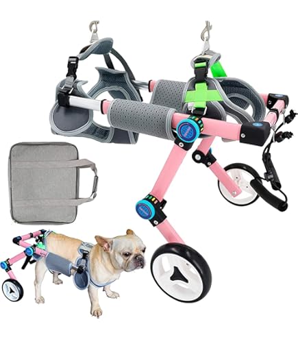 ダックスフンド用 車いす　ドックウォーカー 楽天市場】＼ すぐ使える10%OFFクーポン！ ／ 【ミニチュア