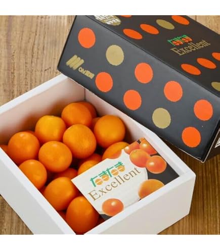 Amazon.co.jp: 【大幅値下げ！ 300円OFF！2280円→1980円！】こん太