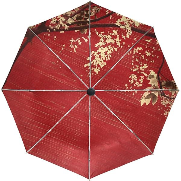 Amazon | 折り畳み傘 おしゃれ 折りたたみ傘 雨傘 日傘 赤 花柄 和風
