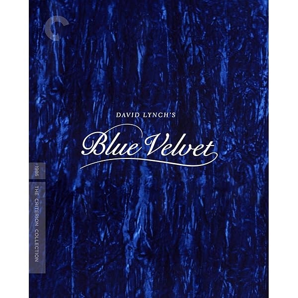 Wanda (The Criterion Collection) : Amazon.com.au: Movies & TV