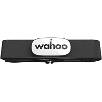 Amazon.co.jp: WAHOO Elemnt Roam GPS サイクル コンピューター