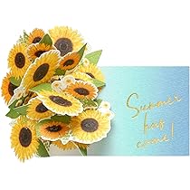 Amazon.co.jp: サンリオ(SANRIO) メッセージカード サマー