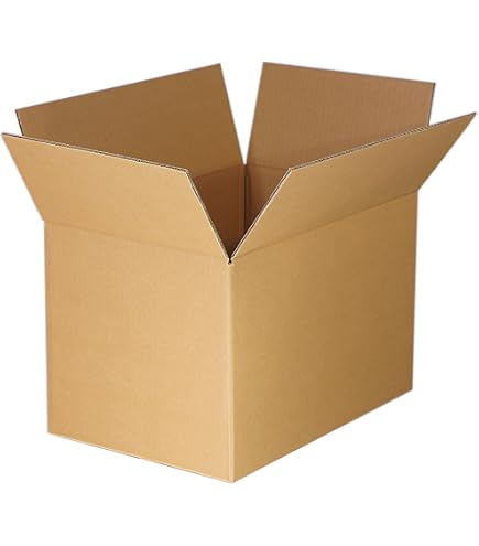 Amazon.co.jp: ダンボール100サイズ【10枚セット】 : 文房具