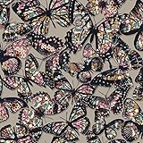 York Wallcoverings rk4443 Urban Chic Jeweled Monarch壁紙、ベージュ/パープル/ピンク/グレー/ブルー/イエロー/グリーン