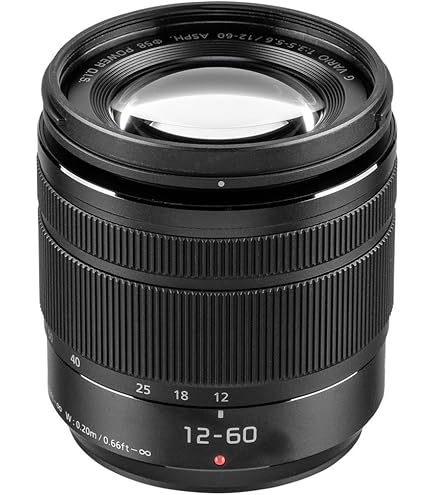 Amazon.co.jp: Panasonic LUMIX Professional 12-60mm カメラレンズ