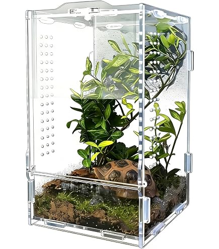 Amazon | エキゾテラ EXOTERRA クレス飼育キットGTP3045【飼育ガイド