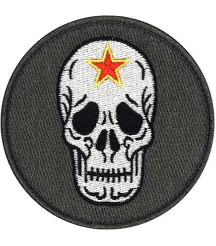 Amazon.co.jp: 自衛隊グッズ ワッペン 航空自衛隊 飛行教導群