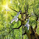 lhdlily High Definitionドリーミー3dフォレストSunshine Dove 3d天井壁画壁紙 LHDLily-29572957285-2809