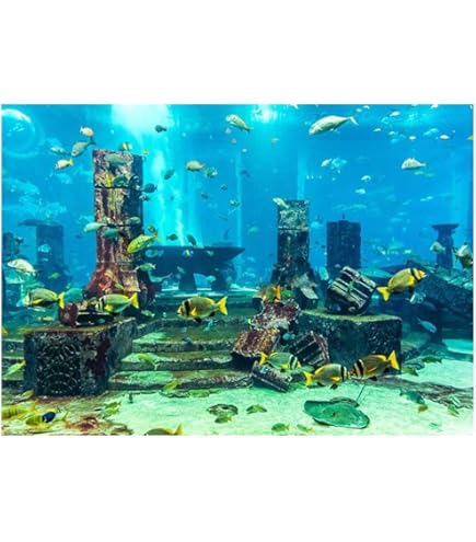 Amazon | 水中ポスター Acouto 魚タンク 水族館 水槽 装飾ステッカー