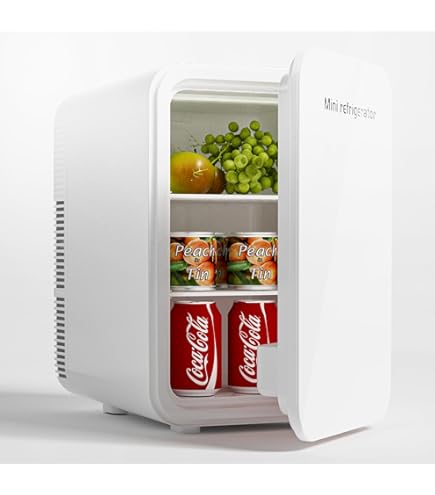 GOHHME ミニ冷蔵庫 10L 0~65℃ 小型 冷温庫 ポータブル 保冷保温 Amazon | GOHHME ミニ冷蔵庫 10L 0~65℃ 小型 冷温庫 ポータブル