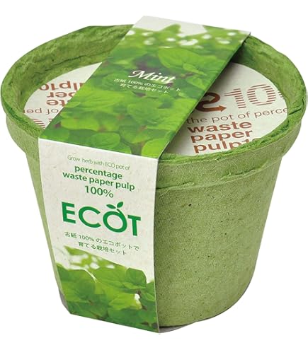 Amazon.co.jp: ニールズヤードレメディーズ : ハーブを知る 使う