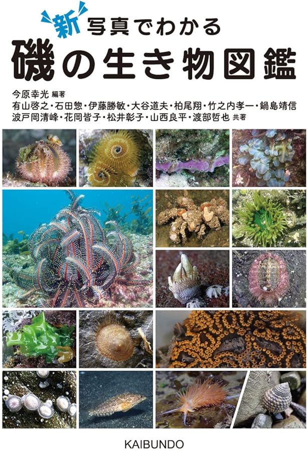 海岸動物の生態学入門: ベントスの多様性に学ぶ | 日本ベントス学会