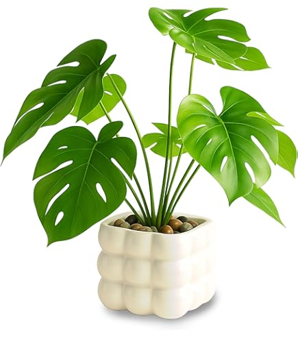 Amazon｜Francfranc フランフラン ポット付きアートグリーン