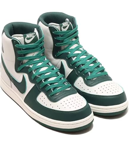 Amazon.co.jp: NIKE ナイキ SB ダンクハイ スケートボード