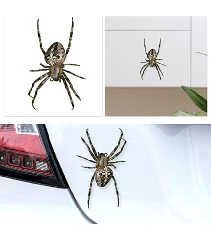 Black Widow Spider Decal | Vinyl Car Decal | Window Decal | Laptop