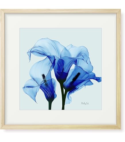 Amazon.co.jp: 絵画「葉脈」インテリア 絵 花 アートパネル 額入り (縦