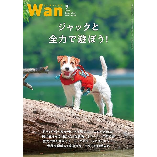 ジャックラッセルテリア welcome board 木製 犬 楽天市場】ジャックラッセルテリア インテリアの通販