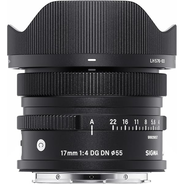 Amazon.co.jp: シグマ(Sigma) SIGMA シグマ Lマウント レンズ 50mm F2  