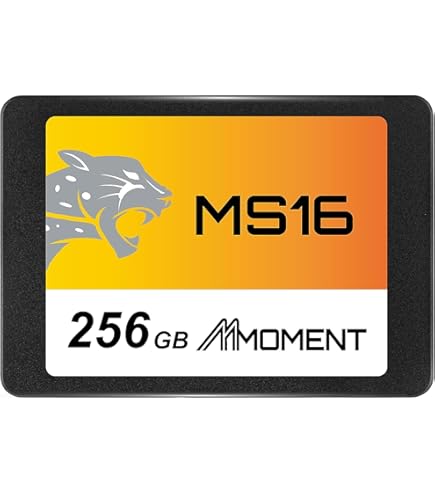 内蔵型SSD PHIXERO P3000 256GB NVME SSD Amazon | PHIXERO P3000 256GB NVME SSD、PCIe 3.0 Gen3x4、M.2 2280