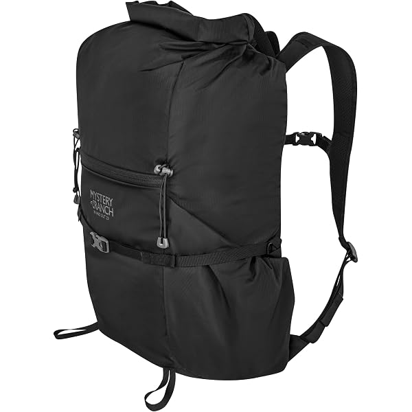Amazon | [ミステリーランチ] リュック 19L IN&OUT 19 | 登山リュック 
