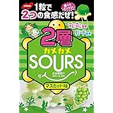 ノーベル製菓 2層カメカメサワーズマスカット 45g×6袋