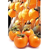 Amazon.co.jp: 柿 10kg 大和柿 【干柿用渋柿】 徳島産 ねっとりした