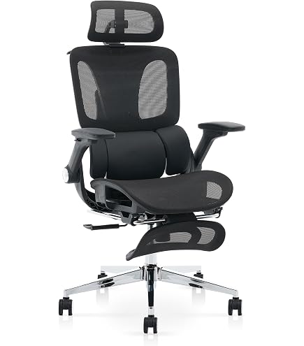 Amazon.co.jp: Hara Chair ハラチェア ニーチェ 《標準モデル