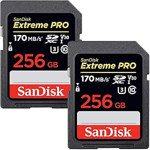 サクラチェッカー 2個セット Sdカード Sandisk サンディスク Extreme Pro Sdxc Uhs I カード 256gb 超高のやらせ評価 口コミをチェック