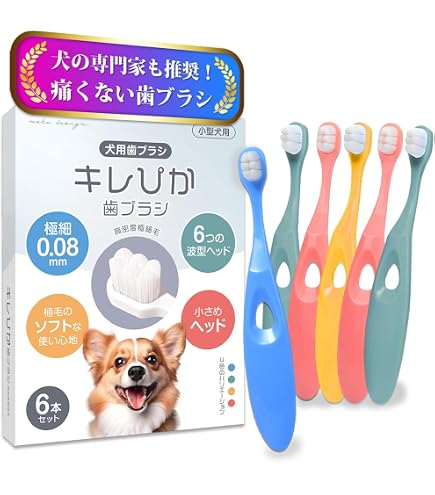 Amazon | ふしみ和紙アート研究所 ワンコ歯石トルン | ふしみ和紙