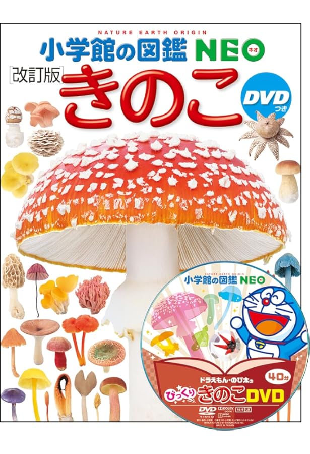 Amazon.co.jp: 身近なキノコ図鑑（知りたい会いたい 色と形ですぐ