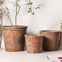 71bqRRwJmhL._AC_UL210_SR210,