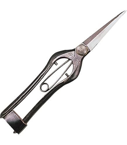 【3丁セット】切れ者芽切鋏200mm Amazon | 切れ者 芽切鋏 200mm | 園芸用はさみ