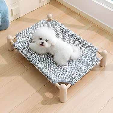 Amazon.co.jp 最新リリース: 犬用ベッド・クッション の新着ランキング