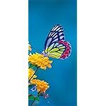 チョウ(蝶) iPhone 15,14,13,12,11,X 壁紙(1125x2436) Schmetterlinge 2023: Kalender チョウ(蝶) iPhone 15,14,13,12,11,X 壁紙(1125x2436) Schmetterlinge 2023: Kalender