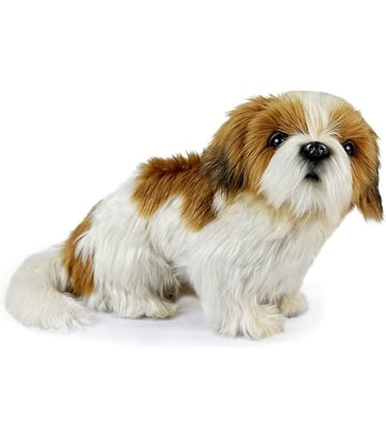 Amazon.co.jp: FONTE フォンテーヌ DREY PET ドレッシーペット