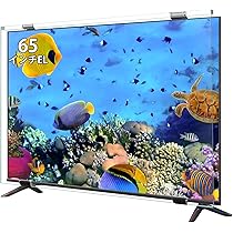 テレビ保護パネル65インチ 有機el テレビカバー 65inch 有機EL 液晶 テレビ保護パネル 65型 65インチ クリアパネル テレビガード