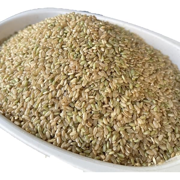 屑米 maxresdefault.jpg