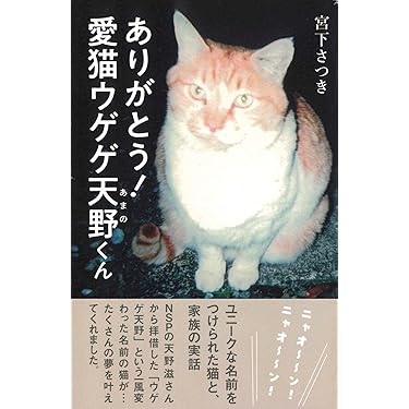 Amazon.co.jp Hot New Releases: The bestselling new & future