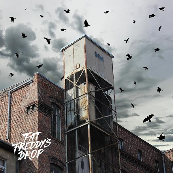 FAT FREDDYS DROP - BASED ON A TRUE STORY - FAT FREDDY'S DROP