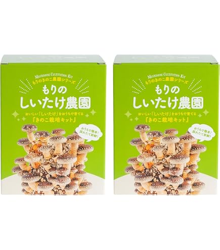 Amazon.co.jp: 山梨県産 しいたけ原木 3本セット 菌駒打ち済み