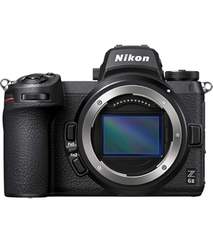 Nikon D3500 18-55 VR Lens Kit - Black DSLR Camera: Digital SLRs