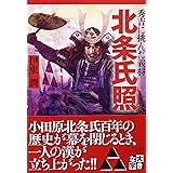 北条氏照 秀吉に挑んだ義将 (PHP文庫)