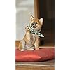 犬 Hd 7 1280 壁紙 ふわふわポメラニアン その他 スマホ用画像 犬 Hd 7 1280 壁紙 ふわふわポメラニアン その他 スマホ用画像