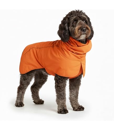 Amazon | Carhartt Firm Duck Dog Chore Coat、寒さと風の強い条件の